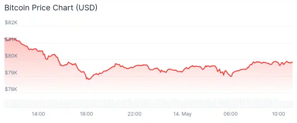 Bitcoin price 24-hour chart.