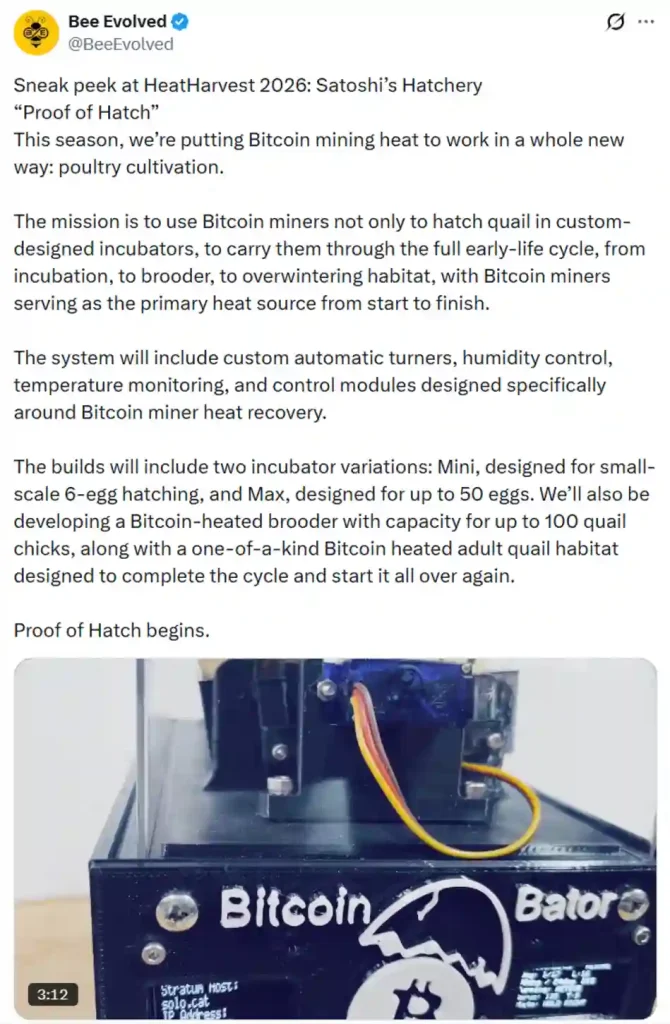 Satoshi’s Hatchery preview.