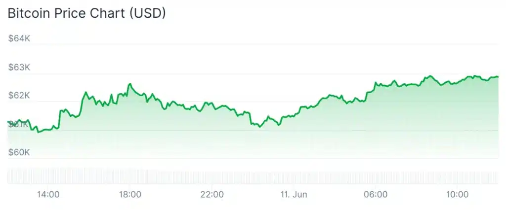 Bitcoin price 24-hour chart.