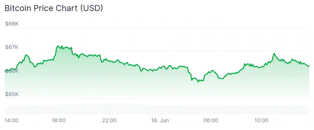 Bitcoin price 24-hour chart.
