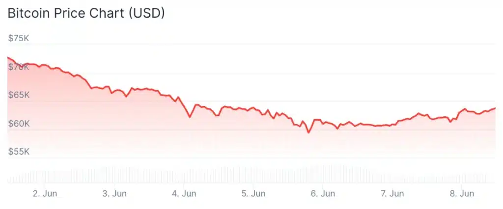 Bitcoin price 7-day chart.