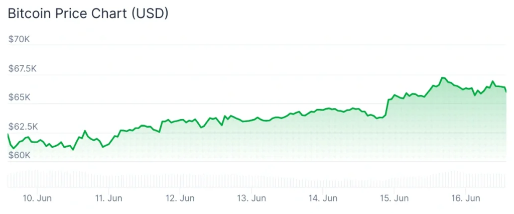 Bitcoin price 7-day chart.