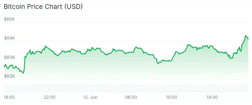 Bitcoin price 24-hour chart.
