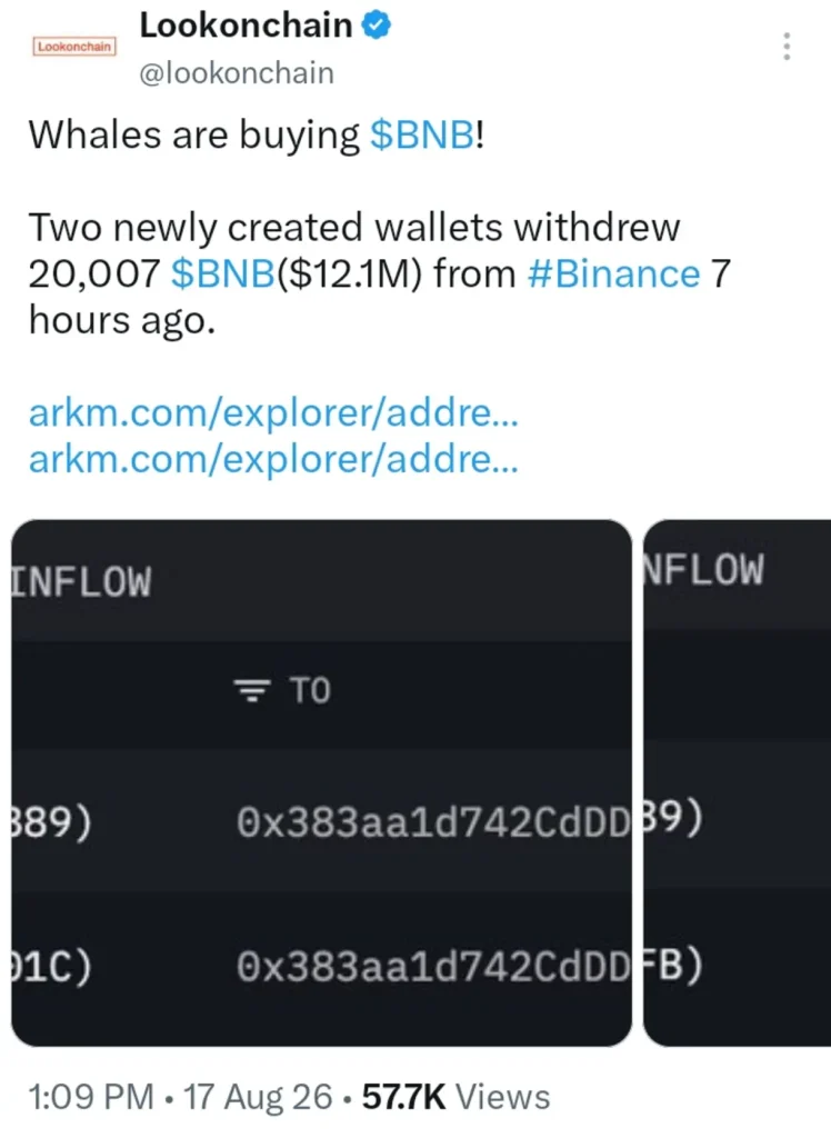 BNB Just Flashed a Whale Accumulation Signal Not Seen Since the Last Pump