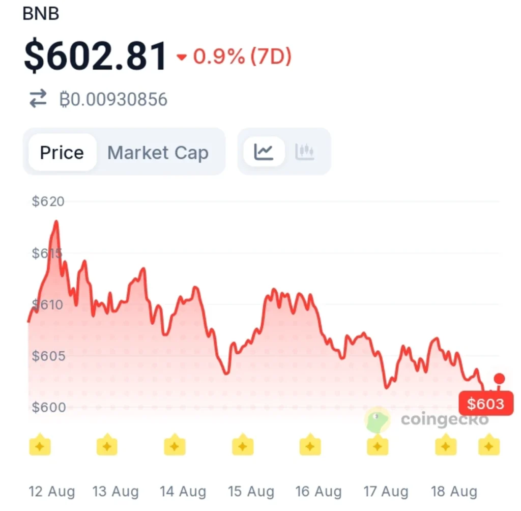 BNB Just Flashed a Whale Accumulation Signal Not Seen Since the Last Pump