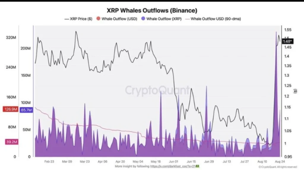 XRP Whales Are Moving — Binance Records Largest Outflow in Six Months