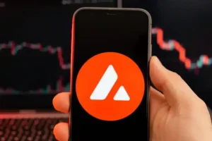 Avalanche Records Strongest Tokenized Stock Growth In 24 Hours