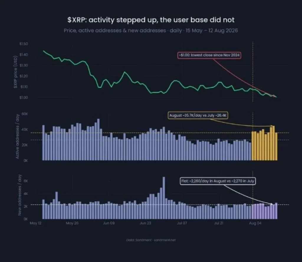 XRP Activity Is Surging — But Its User Base Is Telling A Different Story