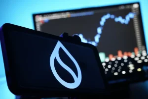 Sui User Growth Surges to New Highs — Bullish?