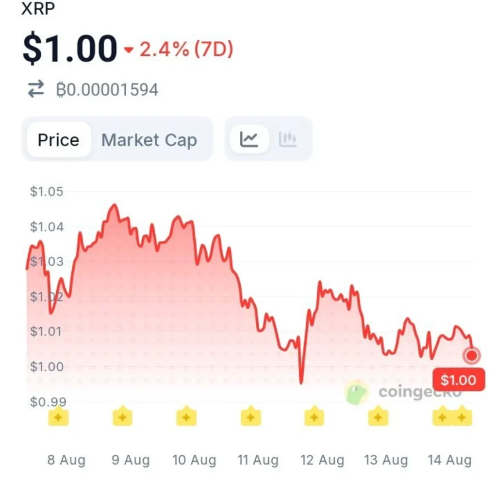 XRP Activity Is Surging — But Its User Base Is Telling A Different Story