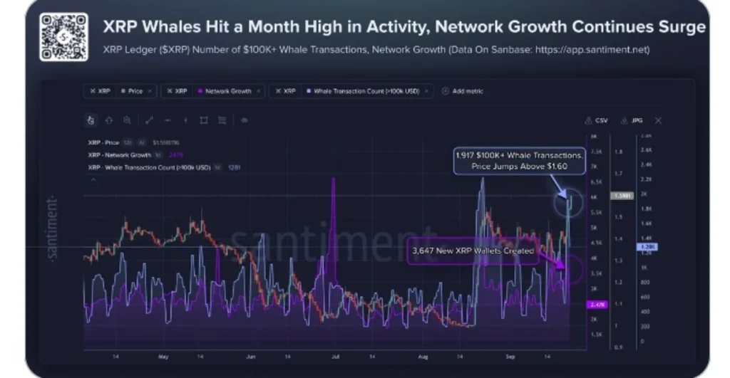 XRP Breaks a Seven-Month Barrier as Whale Activity Hits a Fresh High