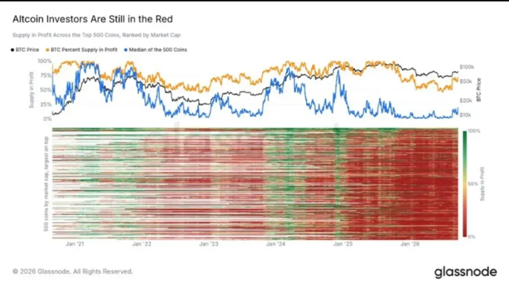 Most Altcoin Holders Are Still Losing — Why This Cycle May Have Room to Run